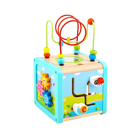 Tooky Toy Play Cube