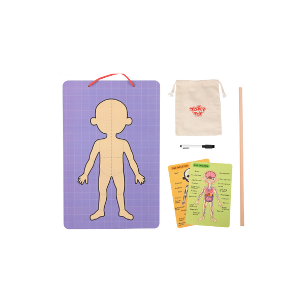 Tooky Toy Body Magnetic Chart