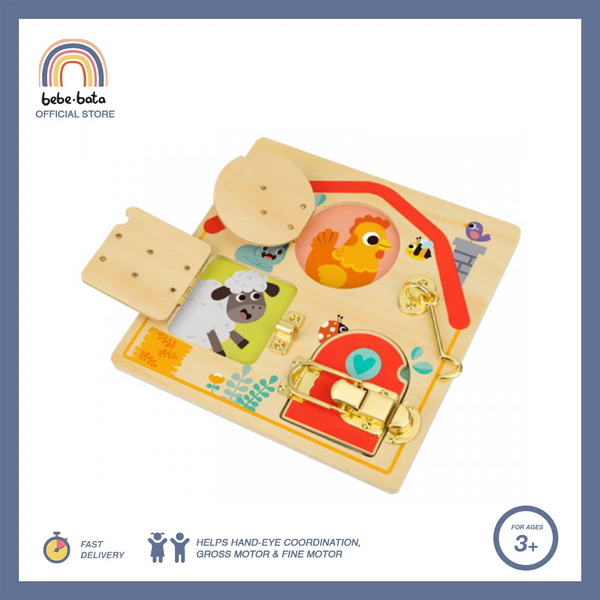 Tooky Toy Latches Activity Board